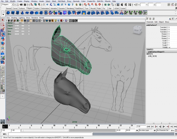 Creation of Horse Contest: Step 2